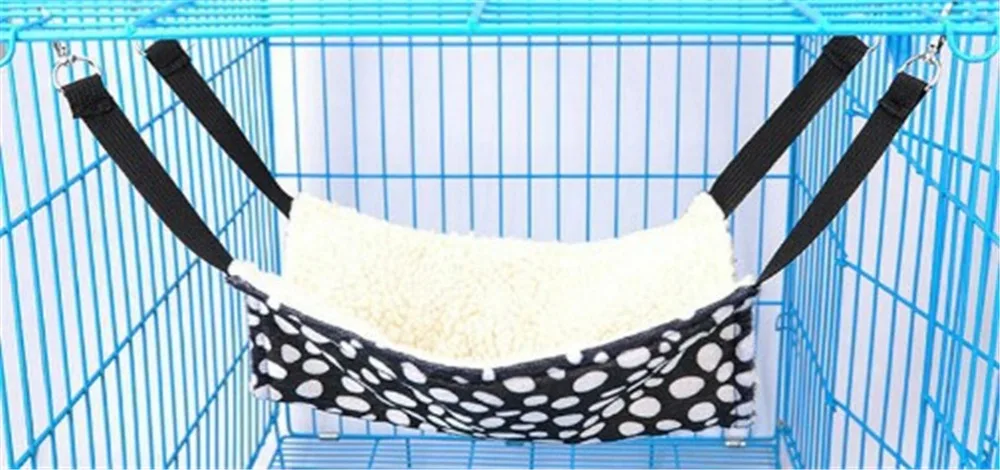 10584602070_1611465256