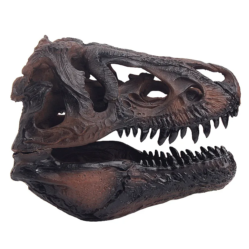 

Newest Dinosaur Skull Tyrannosaurus Rex Dinosaur Resin Skull Model Simulation Model For Collection Size 16.7*11.7*12.3CM