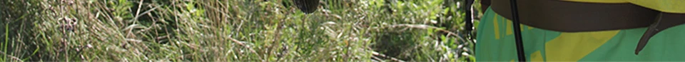 ENG_74