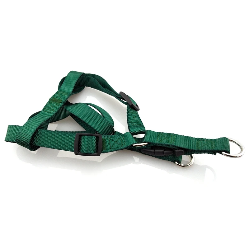 dog harness (12)