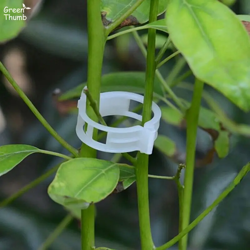 Клипсы для растений. Клипсы для подвязки растений d20мм, 20шт/упак. Клипсы садовые park hg6120, 20 шт/упак. Держатель для растений (10 шт) 007205. Клипсы для растений.