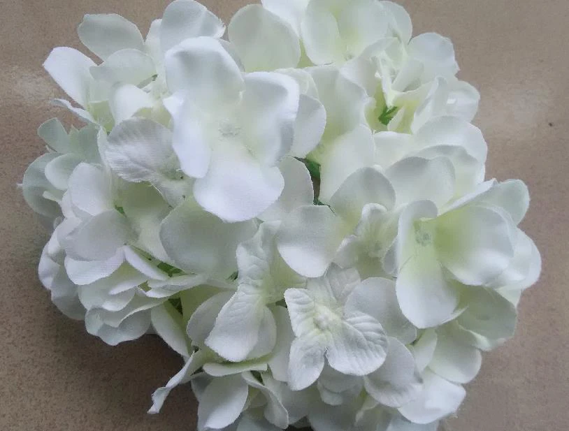 15CM/5.9\ 15CM/5.9\