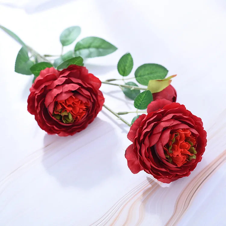 9453935850_519713817