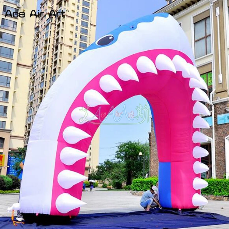 shark arch 1_