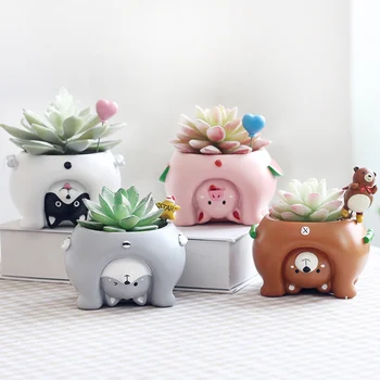 

Fleshy plant pots ornaments personalized creative animal shape different angle watch to see the world make you feel good gift