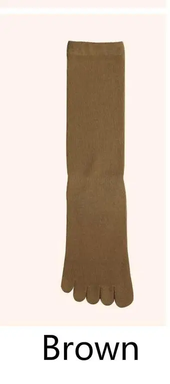 4 пары, женские носки с пальцем, хлопковые чулки средней высоты, эластичные чулки с 5 пальцами - Цвет: Коричневый