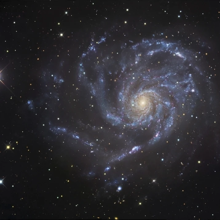 The Pinwheel Galaxy Poster Print (16 x 11)