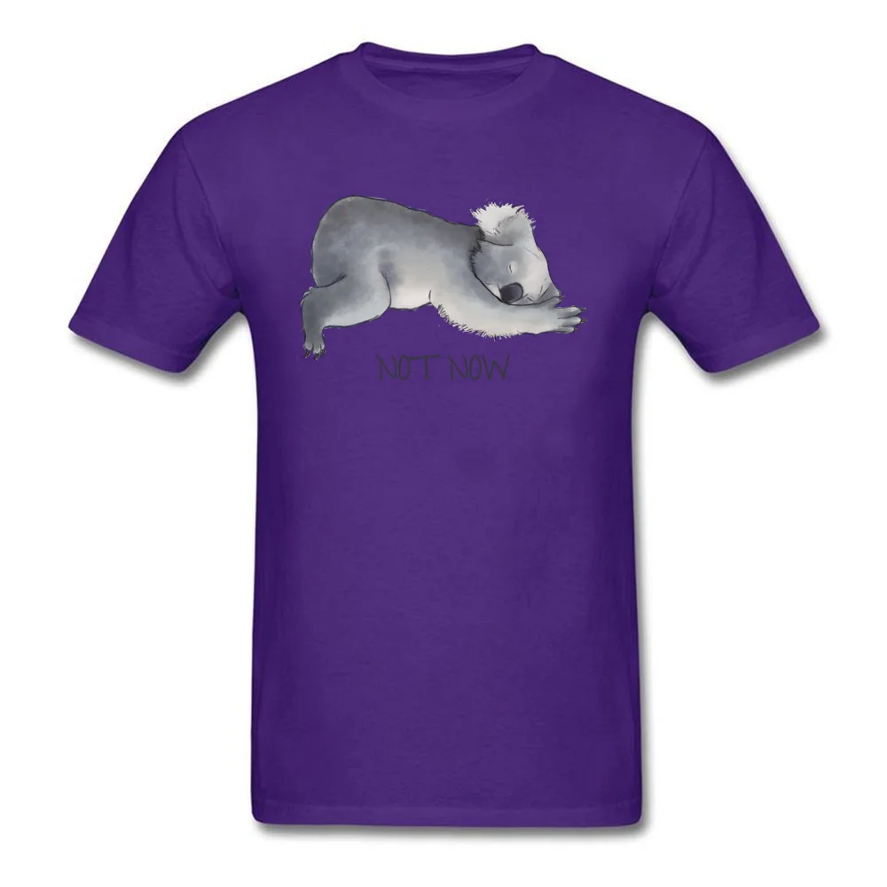 Koala Sketch - Not Now - Lazy animal_purple