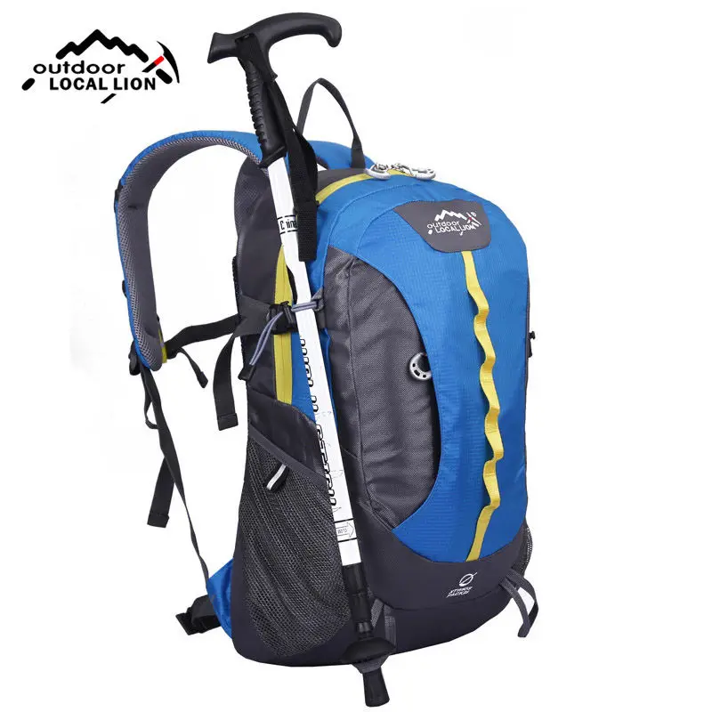 billabong cheetah backpack