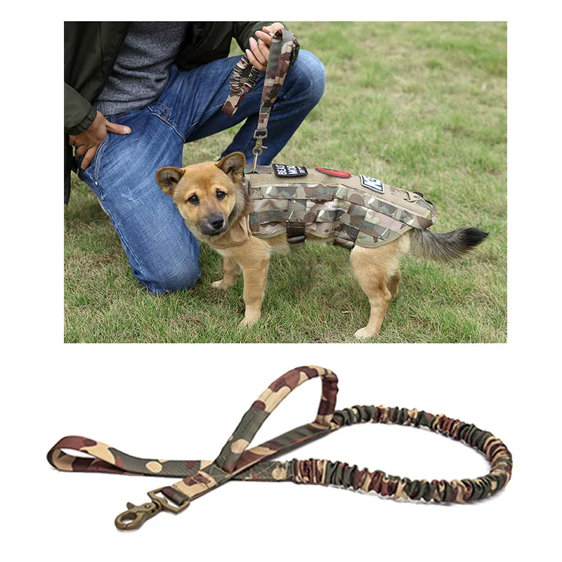 police dog training on ropes