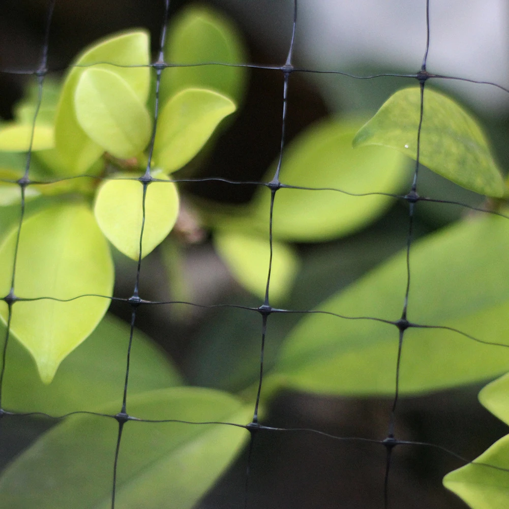 Garden Mesh Plastic Anti Bird Netting Pond Net Protection Crops Fruit Tree Vegetables Flower Protect Pest Control