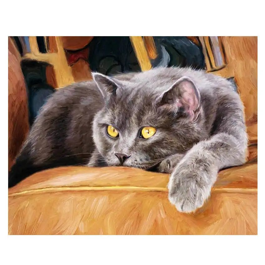 

Coloring By Numbers,Paint By Number,Picture,Lazy Cat,Painting Calligraphy