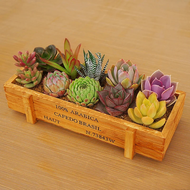 Garden Plant Pot Decorative Vintage Succulent Wooden Boxes Crates Rectangle Table Flower Pot Gardening Device