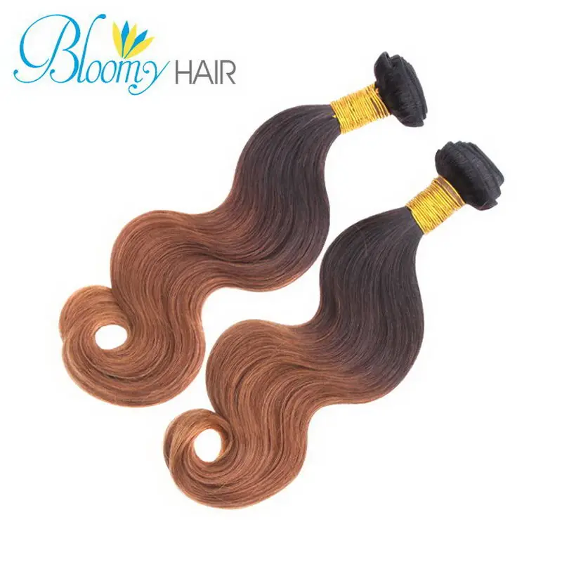 

Free Shipping 2pc Human Weave Hot Popular Body Wave Ombre Hair Top Quality Rosa Hair Products Ombre Color Soft Brazilian Hair