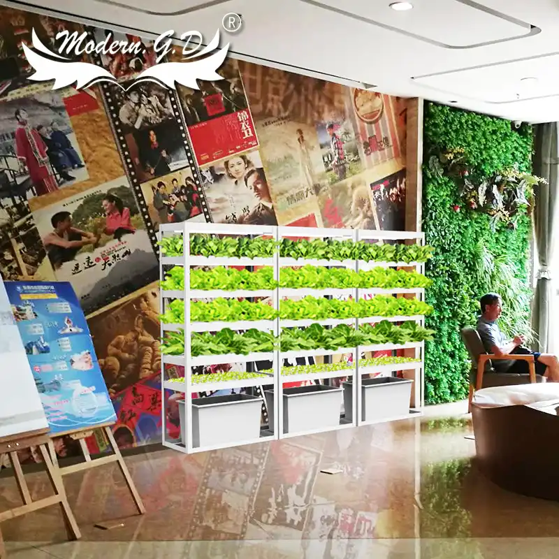 Sistema de cultivo hidropónico para invernadero, para el hogar, para