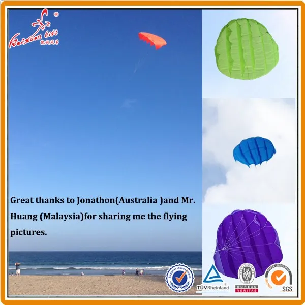 skinkite by peterlynn (1)