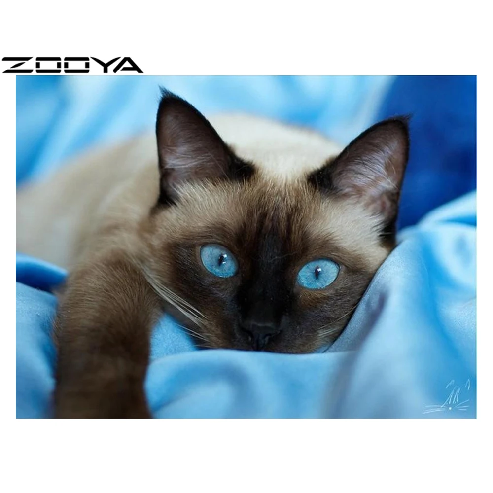ZOOYA Алмазная Картина милый котенок кошки полная Вышивка Узор Стразы Декор