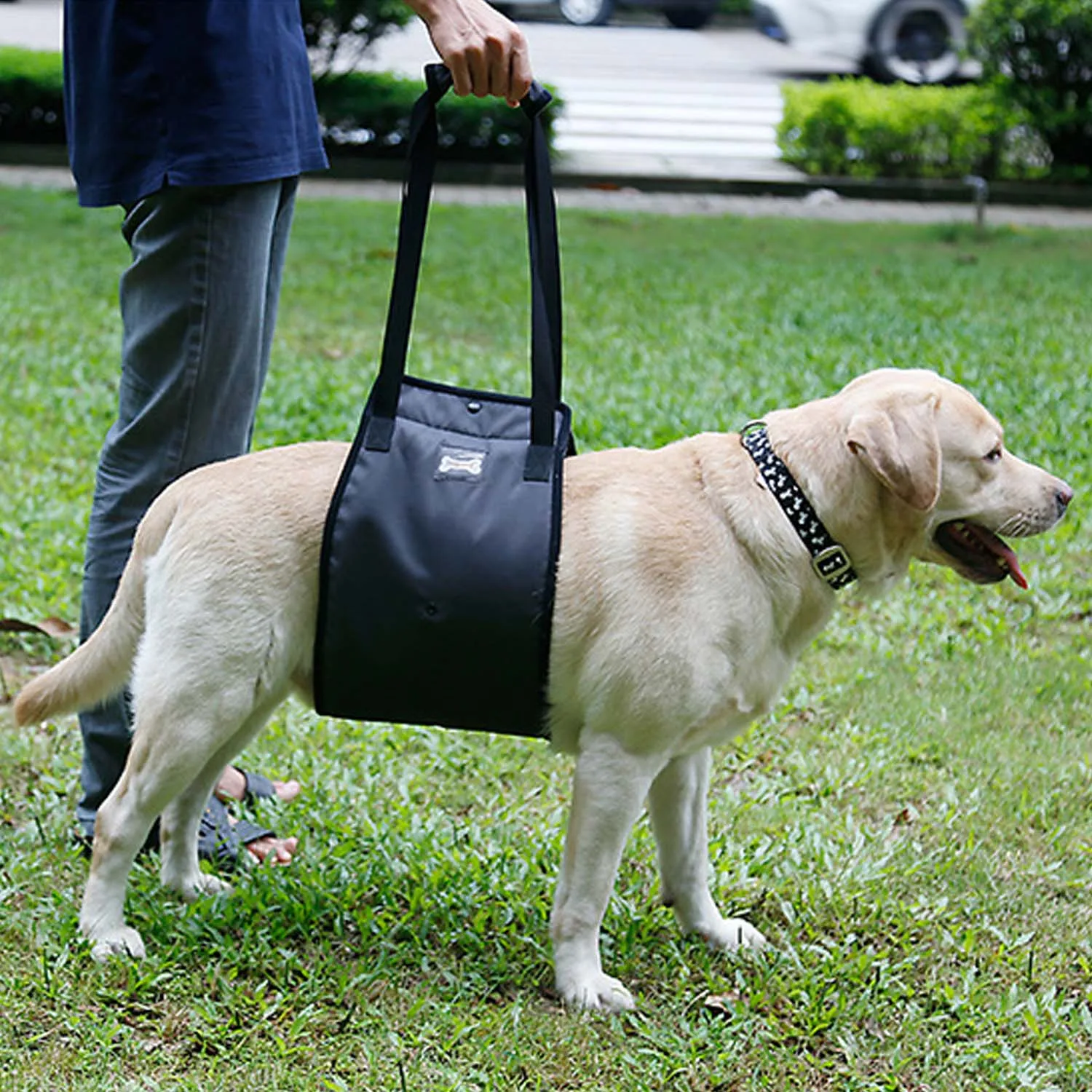 S Dog Auxiliary Belt Dog Lift Support Harness Rehabilitation Harness Assist Sling Pet Walking Aids with Soft Handle Straps for Elderly Injured Disabled Pet Dogs to Go Up//Down Stairs