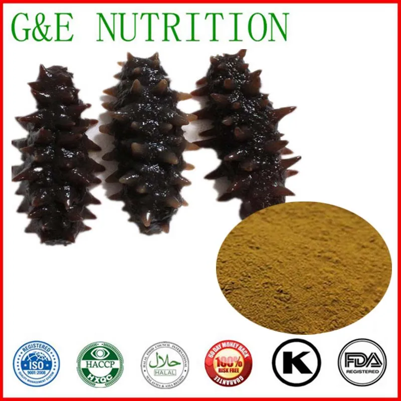 

100g top quality  Sea Cucumber Extract with best price and free shipping