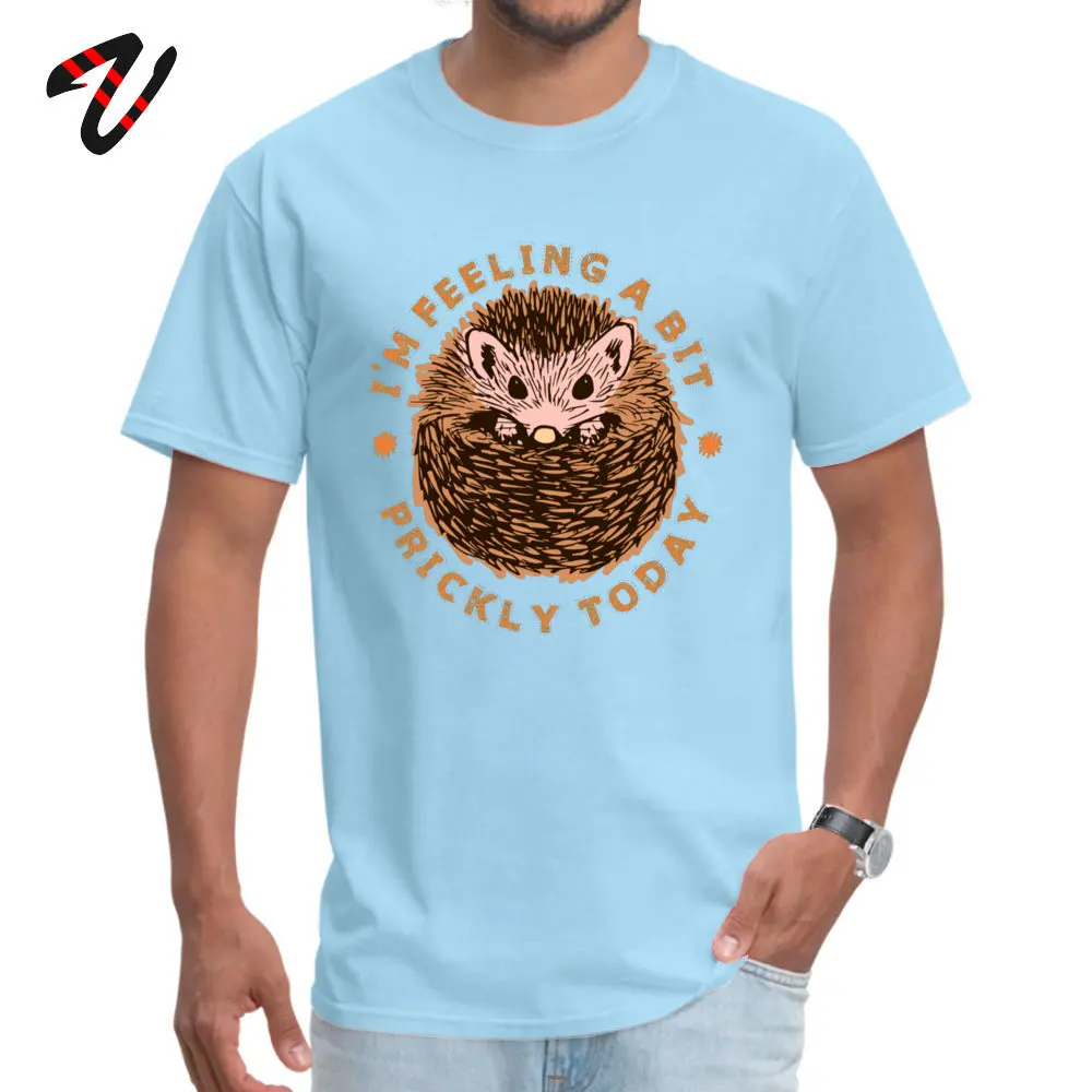 Round Neck Classic Cotton Fabric Men's T Shirt Crazy Short Sleeve Tops T Shirt 2018 Fashion Summer Tees Wholesale Hedgehog Im Feeling A Bit Prickly Today -14046 light