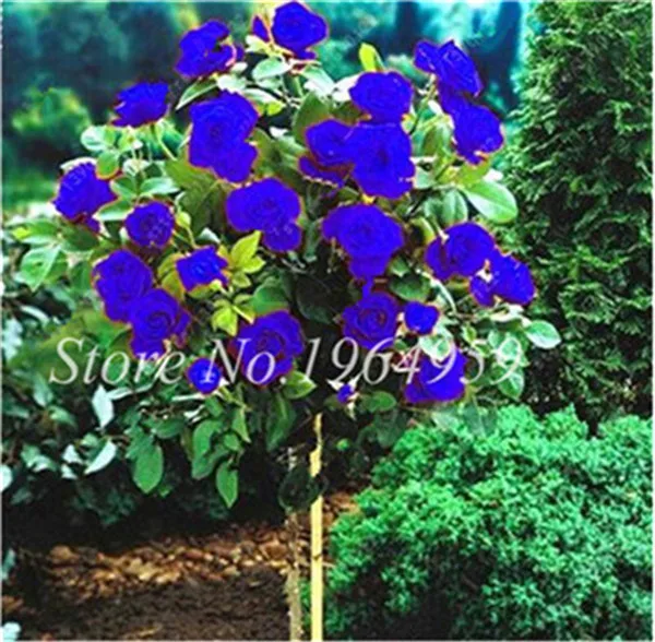 QQ20170525153002