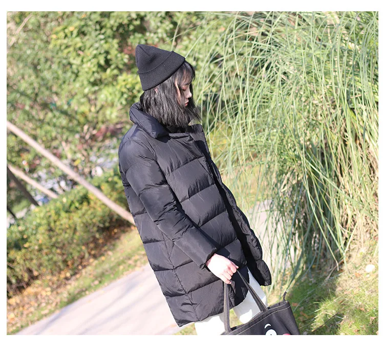 7780391360_1596321950