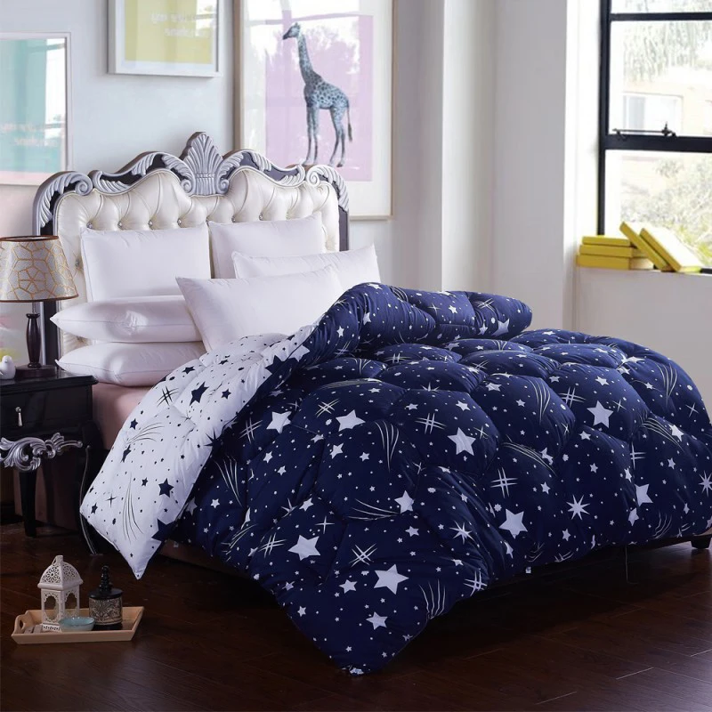 

Winter Spring Quilts core quilt thick warm dormitory space