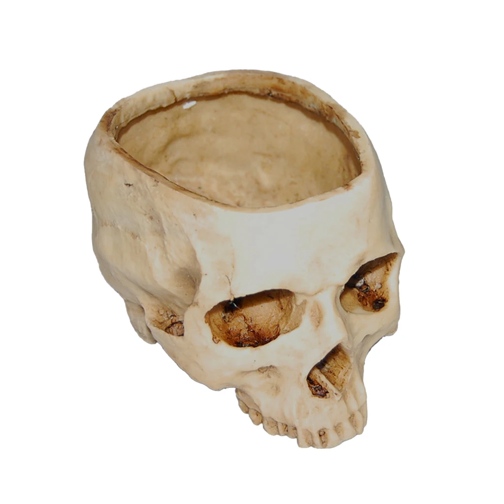 Lab Learning Skull Planter Bowl Statue Sculpture Figurine Succulent Plants Flower Pot Garden Statues  for Anatomical Teaching 