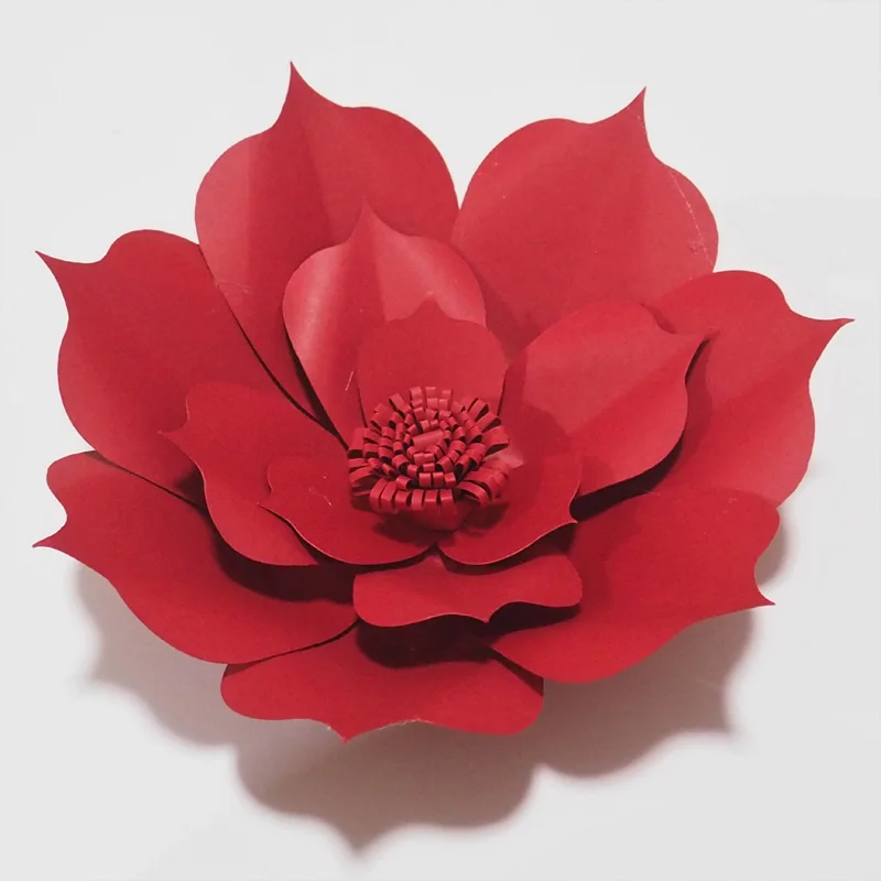 P4302616