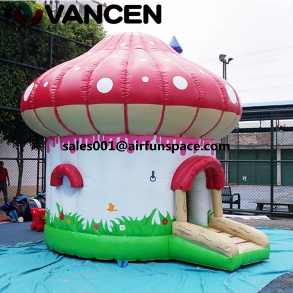inflatable bouncer16
