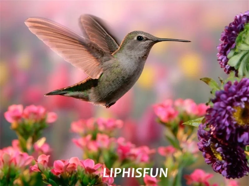 LIPHISFUN Diamond Painting Embroidery Full Drill Home Decor Square/round Cross Stitch DIY Flower Bird Animal Scenic | Дом и сад
