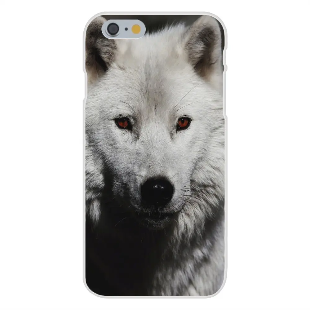 20171212163644_EUHfT