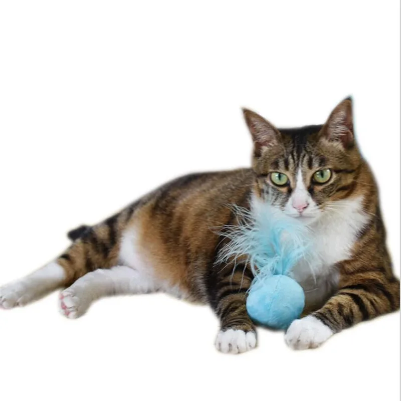 Звуковая кошачья мяча, кольцо для волос, колокольчик, перо, Дразнилка для кошки, игрушки для домашних животных, товары для кошек, котенок, Интерактивная забавная игрушка для кошек, прорезыватель