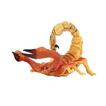 

1PC Insect Model Durable Plastic Educational Non-toxic Simulated Insect Toy for Children Kids