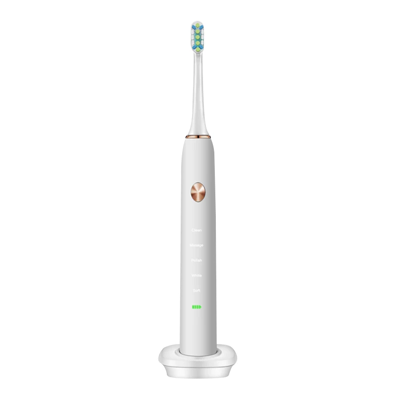 

Adult electric toothbrush / children's electric toothbrush, magnetic version, sound wave, rechargeable electric toothbrush for