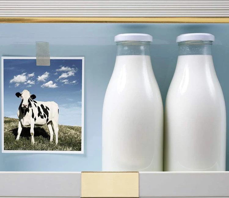 Коммерческий автоматический стерилизатор молока для молочной фермы, пастеризатор молока 50л йогурт и стерилизатор свежего молока