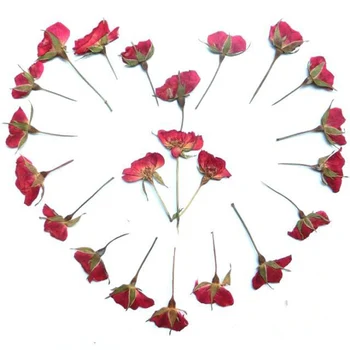 

10 PCS Dried Red Rose Flower Branch Shooting Furnishings Forest Natural Dry Flowers For DIY Gift Jewelry Bookmarks Card Material