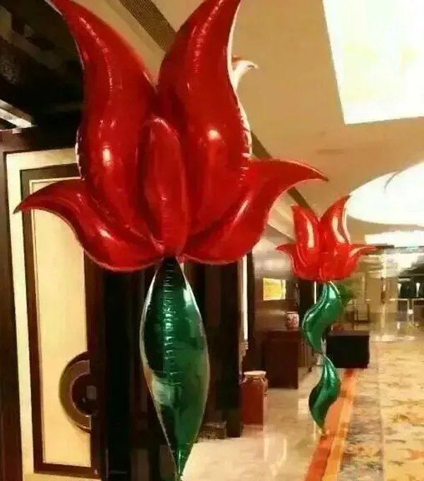 DH_S shape foil balloons -14