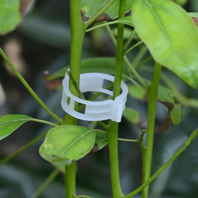 

50pcs Garden Plant Clips Tomato Clips Trellis Flower Vegetable Binder Twine Plant Support Greenhouse Clip upport Tools