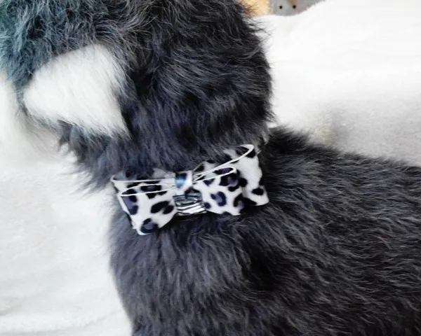 Новое поступление бархат регулируемый галстук-бабочка щенок ошейники для собак и кошек ошейник для домашних животных шлейка для чихуахуа