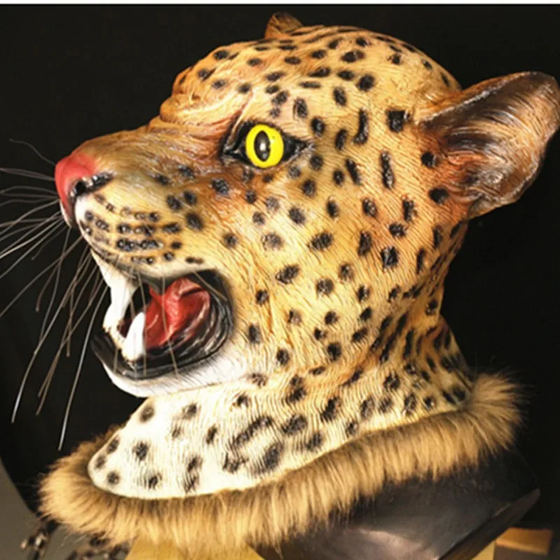 lion1_