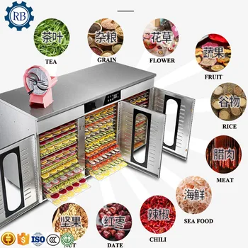 

RAINBOW 48 levels Large capacity Electric vegetable fruit dryer food drying machine