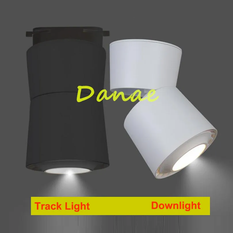 Danae 1