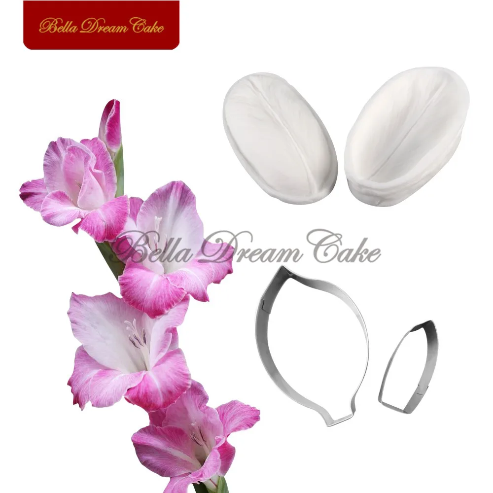 Gladiolus-2