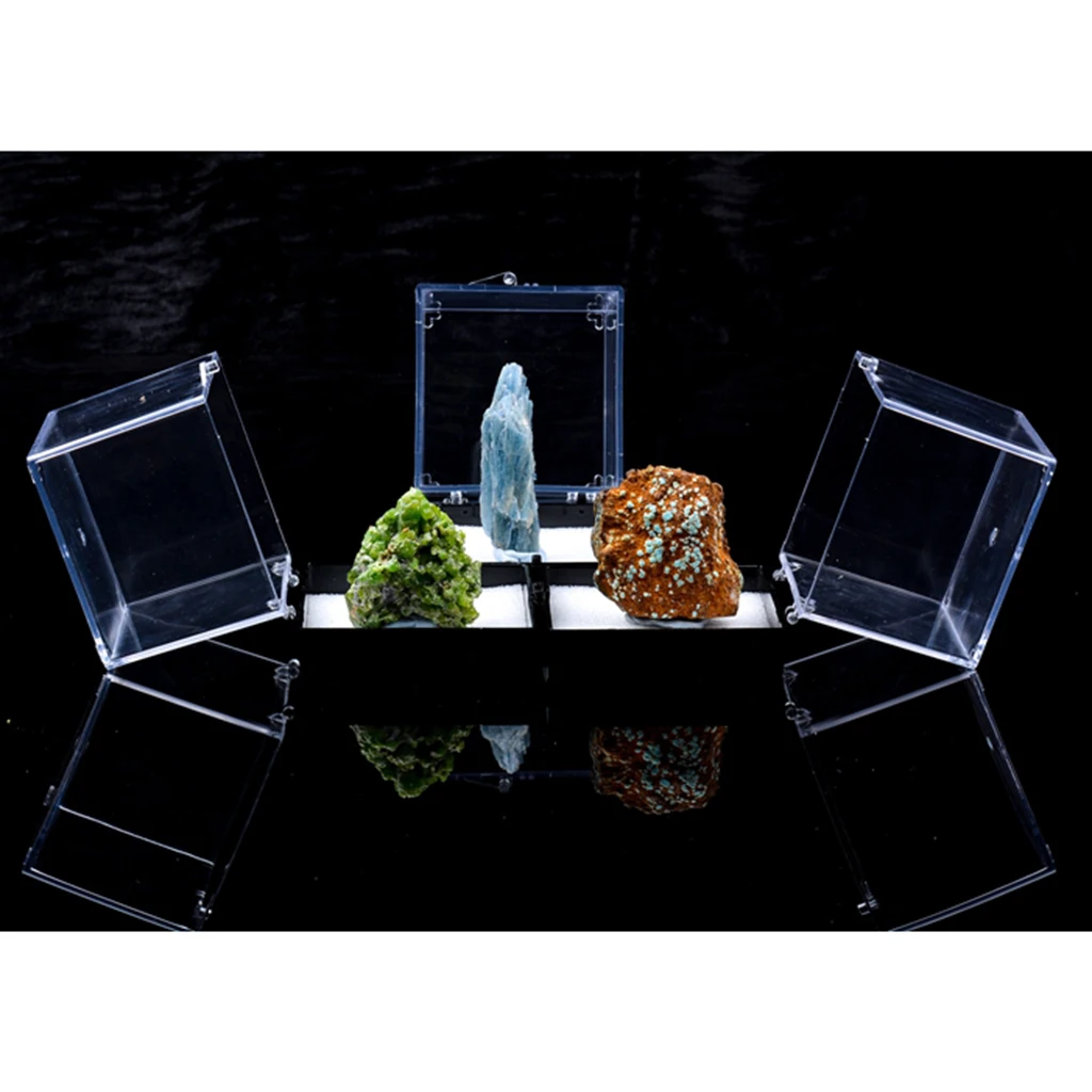 6.5x6.5x7cm Transparent Dustproof Display Case with Balck Base For Rock & Mineral Collection