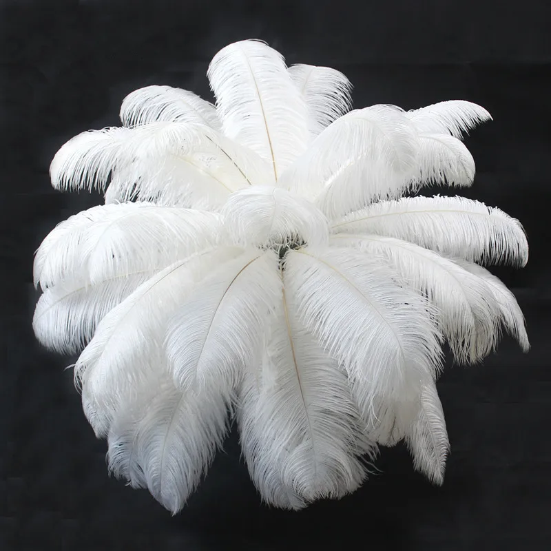 10 шт./партия белые страусиные перья 35-40 см 14-16 inche plume представление головные уборы одежда праздничное свадебное оформление перья