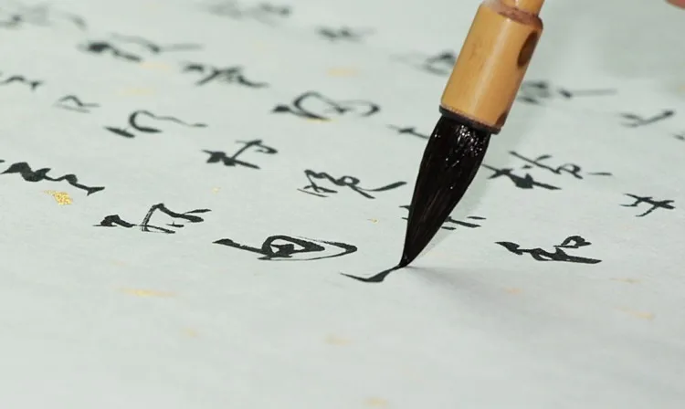 TB21LCOpVXXXXXbXFXXXXXXXXXX_!!66571612