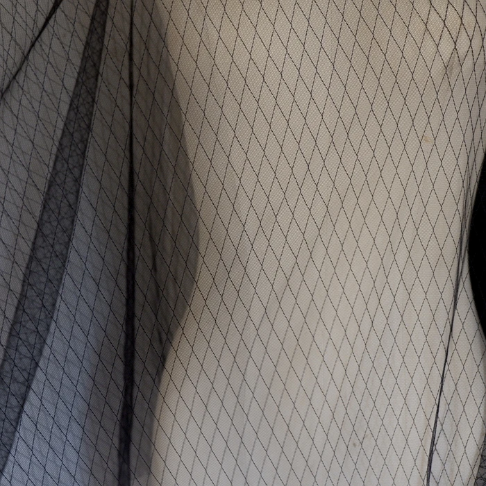 _DSF0238_