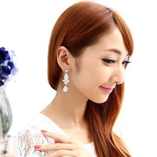 

Hot explosion models elegant temperament long section of zircon earrings
