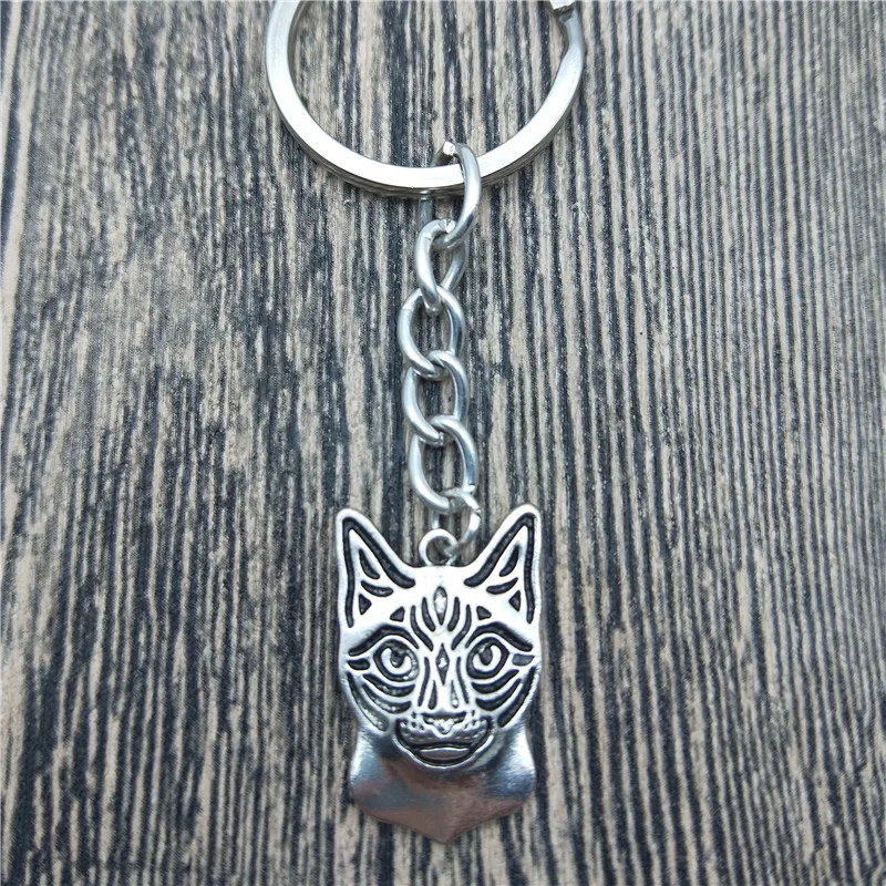 BEFB48456C9492676C72F69DDD2752F8